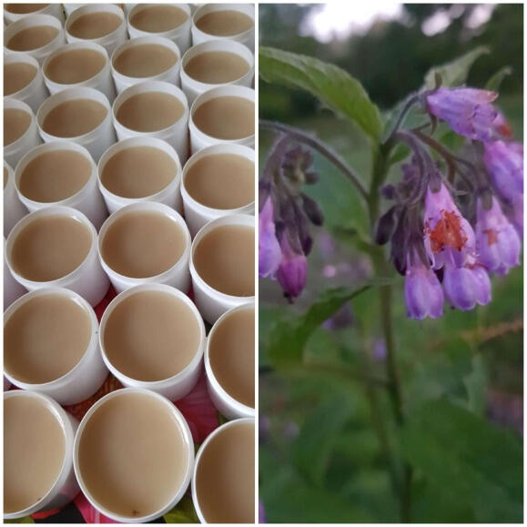 МАЗЬ ИЗ ОКОПНИКА