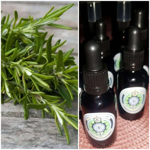 СЫВОРОТКА ИЗ РОЗМАРИНА ДЛЯ КОЖИ И ВОЛОС СЫВОРОТКА ИЗ РОЗМАРИНА ДЛЯ КОЖИ И ВОЛОС