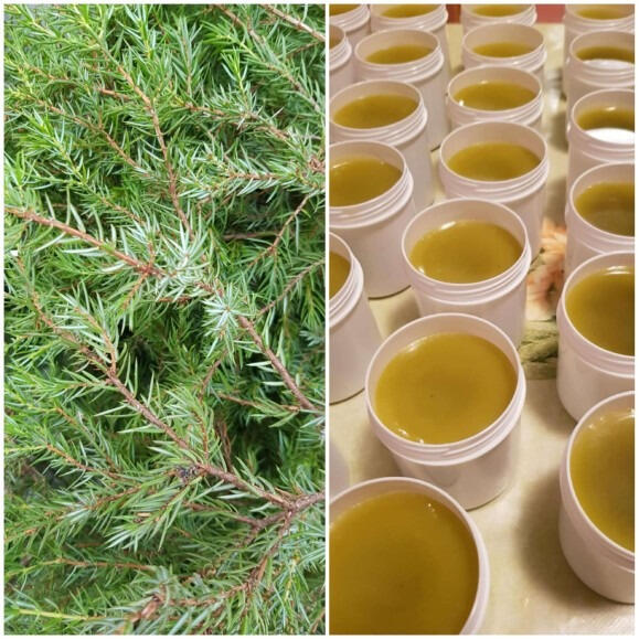 МОЖЖЕВЕЛОВАЯ АНТИЦЕЛЛЮЛИТНАЯ МАЗЬ