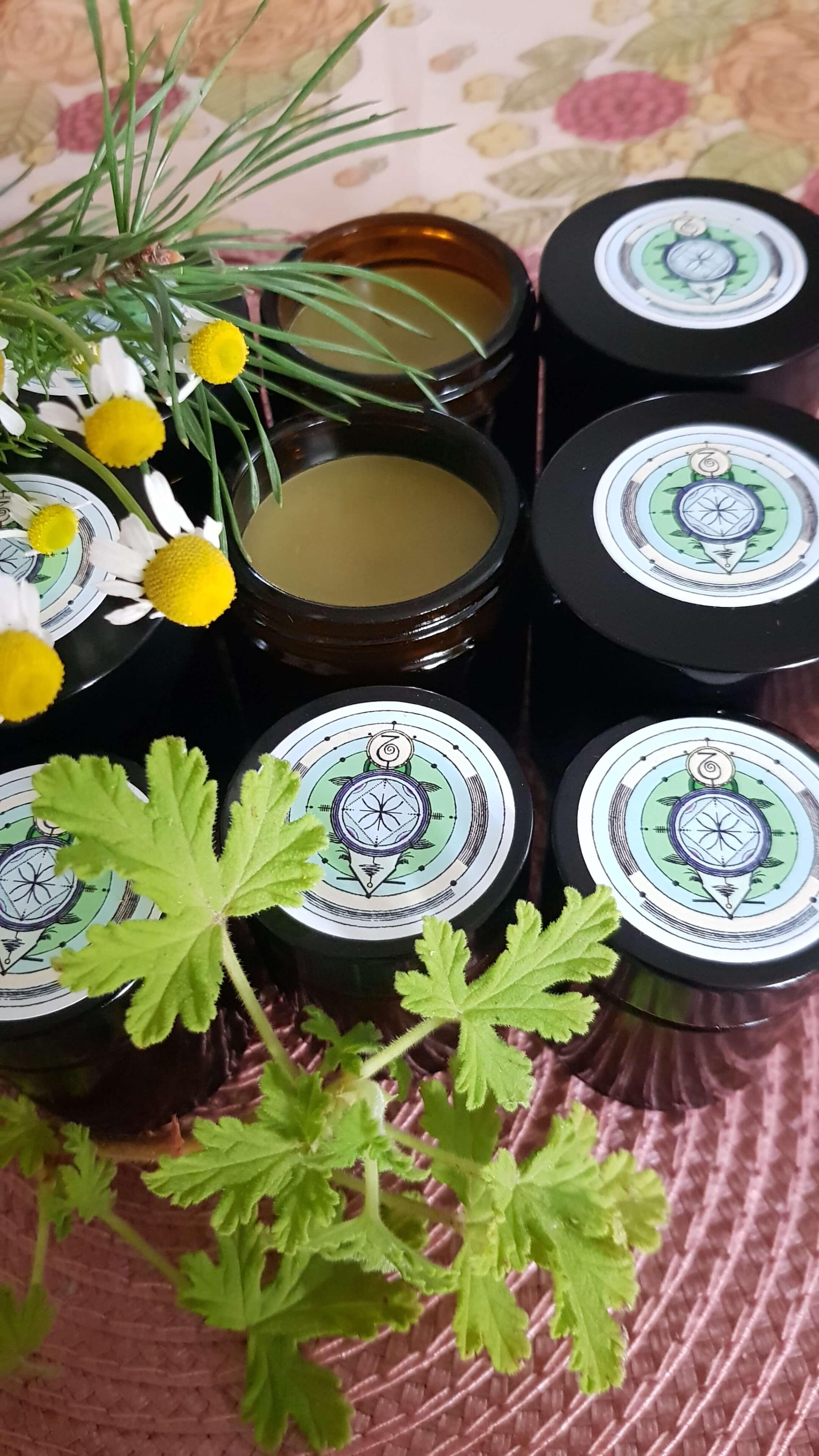 АНТИБАКТЕРИАЛЬНАЯ МАЗЬ ИЗ СОСНОВЫХ ИГОЛОК АНТИБАКТЕРИАЛЬНАЯ МАЗЬ ИЗ СОСНОВЫХ ИГОЛОК